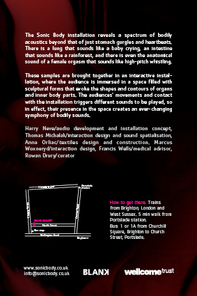 flyer back